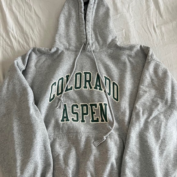 RARE brandy melville colorado aspen hoodie - Picture 2 of 3